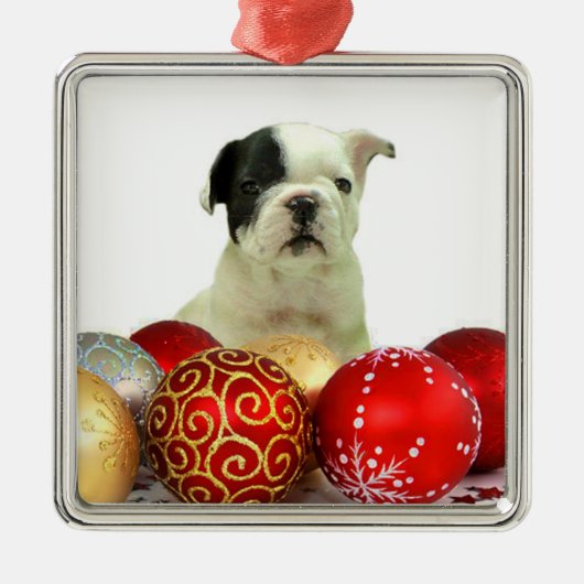 クリスマス·ブルドフランスのッグ メタルオーナメント (正面)