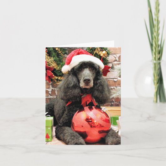 クリスマス-プードル-ユリ シーズンカード (正面)