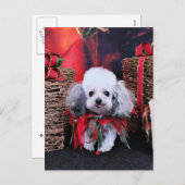 クリスマス-プードル- Lilly シーズンポストカード (正面/裏面)