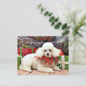 クリスマス-プードル- Sophie シーズンポストカード (スタンド正面)