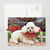 クリスマス-プードル- Sophie シーズンポストカード (正面/裏面)