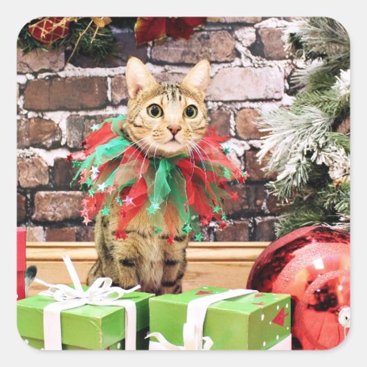 クリスマス – ベンガル猫 – ジャック スクエアシール (正面)