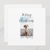 クリスマス ペット 犬 猫 写真 休暇 ギフト ロ (正面/裏面)