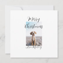 クリスマス ペット 犬 猫 写真 休暇 ギフト ロ