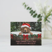 クリスマス ホリデー かわいい犬 バブルバス (スタンド正面)