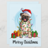 クリスマス ホリデー カード (正面/裏面)