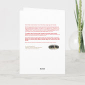 クリスマス ホリデー カード スウィート チャイルド エルフェン ぷう (裏面)