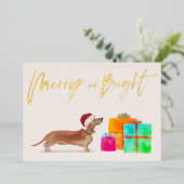 クリスマス ホリデー ゴールド タン ダックスフンド 犬の写真 (立ち正面)