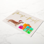 クリスマス ホリデー ゴールド タン ダックスフンド 犬の写真 (回転した状態)