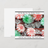 クリスマス ホリデー フェスティブ ペッパーミント スワール キャンディー (正面/裏面)