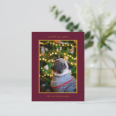 クリスマス ホリデー フォト | ゴールドのポインセチア (スタンド正面)