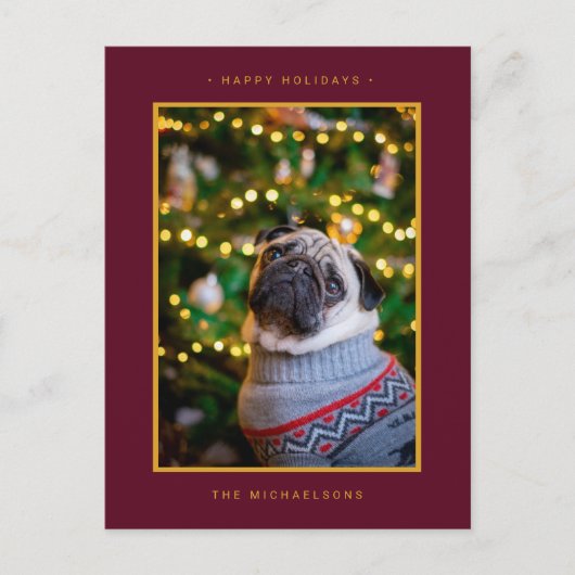 クリスマス ホリデー フォト | ゴールド ポインセチア (正面)