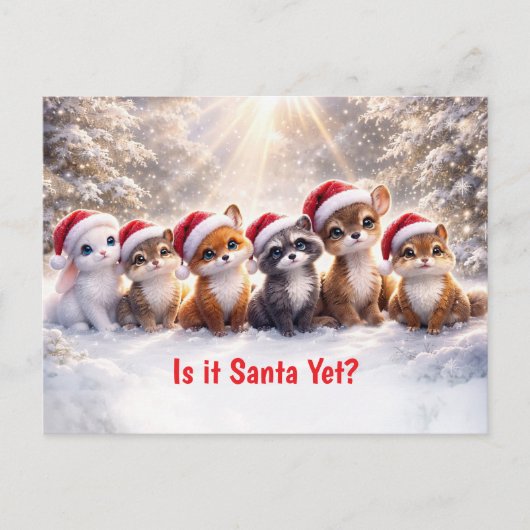クリスマス ホリデー 森の かわいい 動物たち (正面)