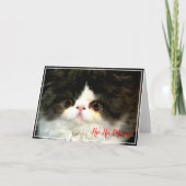 クリスマス ホリデー 黒 白 もふもふ 子猫 カード (正面)