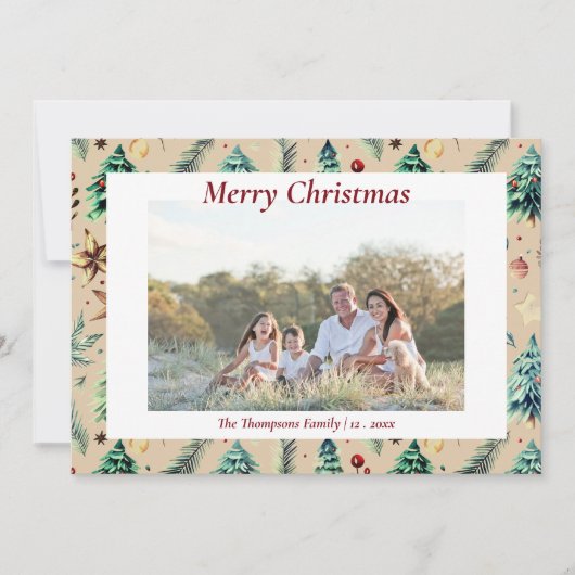 クリスマス ホリー 植物 グリーン フォト ダン (正面)