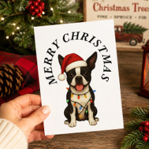 クリスマス ボストンテリア サンタ帽子 犬 メリークリスマス