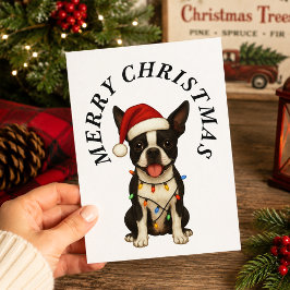 クリスマス ボストンテリア サンタ帽子 犬 メリークリスマス