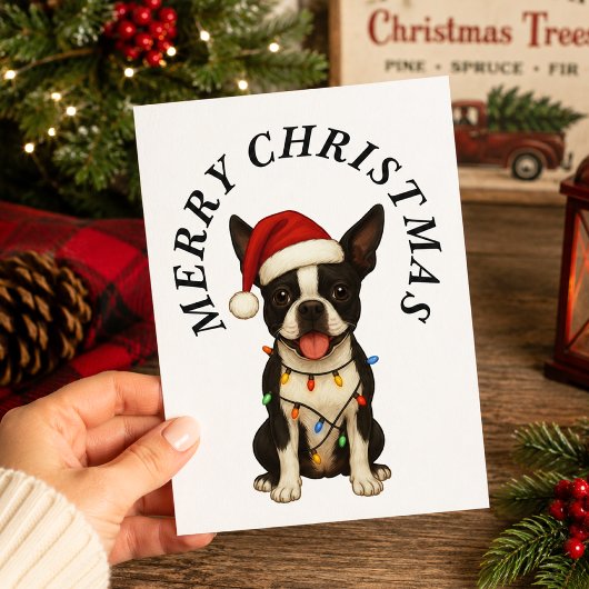 クリスマス ボストンテリア サンタ帽子 犬 メリークリスマス