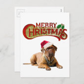 クリスマス・ボーデオークスドッグ シーズンポストカード (正面/裏面)