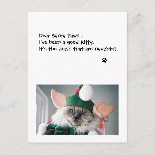 クリスマス ポストカード - Dear Santa Paws (正面)