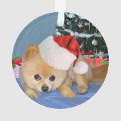 クリスマス、ポメラニア犬犬、サンタの帽子 オーナメント (裏面)