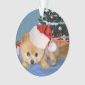 クリスマス、ポメラニア犬犬、サンタの帽子 オーナメント (正面)
