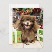 クリスマス-ポメラニア犬-フレッド シーズンポストカード (正面/裏面)
