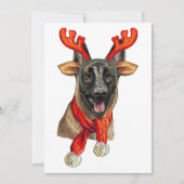 クリスマス・マリノワ犬 セーブザデート (正面)