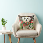クリスマス-マルチーズ-オスカー クッション (椅子)