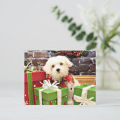 クリスマス-マルチーズ-フラッシュ シーズンポストカード (スタンド正面)