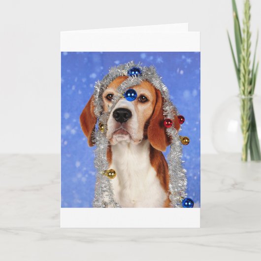 クリスマス・ミシャップ シーズンカード (正面)