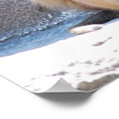 クリスマス・モンキーズとヒヒ ポスター (角)