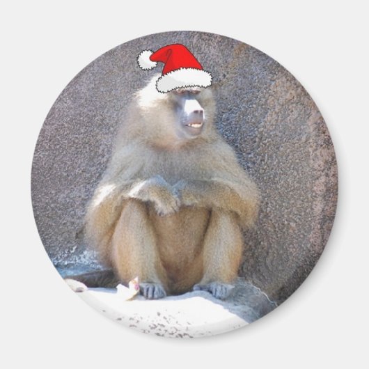 クリスマス・モンキーズとヒヒ マグネット (正面)