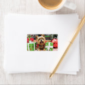 クリスマス – ヨークシャーテリア – サニー ラベル (インサイチュ)