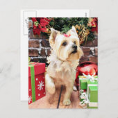 クリスマス – ヨークシャーテリア – ドリー (正面/裏面)