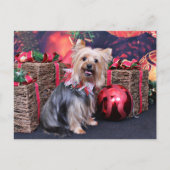クリスマス-ヨークシャーテリア- Abby シーズンポストカード (正面)