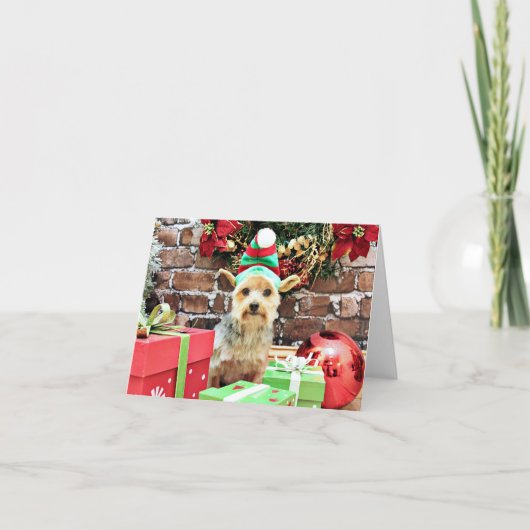 クリスマス – ヨークシャーテリア- Vinnie #32 (正面)