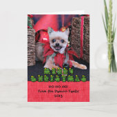 クリスマス – ヨークシャーテリアX – ラッキー (正面)