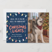 クリスマス ライト 猫 または 犬 写真 (正面)
