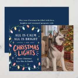 クリスマス ライト 猫 または 犬 写真