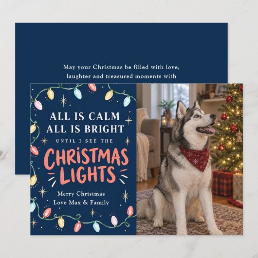 クリスマス ライト 猫 または 犬 写真 (正面/裏面)