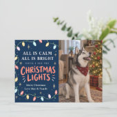 クリスマス ライト 猫 または 犬 写真 (スタンド正面)