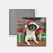 クリスマス – ラットテリア – Sparky マグネット (正面/裏面)