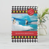 クリスマス・レンジDogtooth千鳥格子の、 シーズンカード (スタンド正面)
