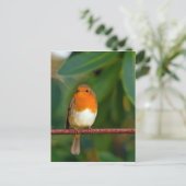 クリスマス・ロビン シーズンポストカード (スタンド正面)