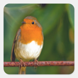 クリスマス・ロビン スクエアシール