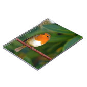 クリスマス・ロビン ノートブック (左側)