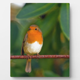 クリスマス・ロビン フォトプラーク