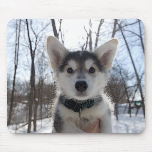 クリスマス・ワンちゃん マウスパッド (正面)