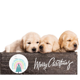 クリスマス，休日，モダンクリスマス，休暇シーズン，C5 ラウンドシール